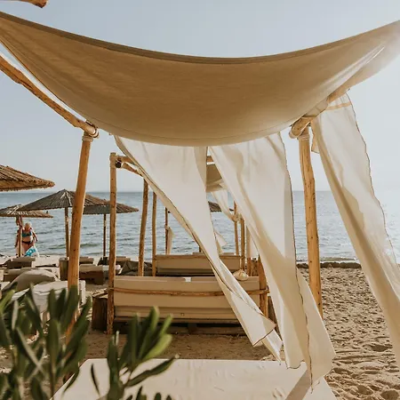 Ergon House 5* Никити